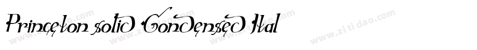 Princeton solid Condensed Italic字体转换